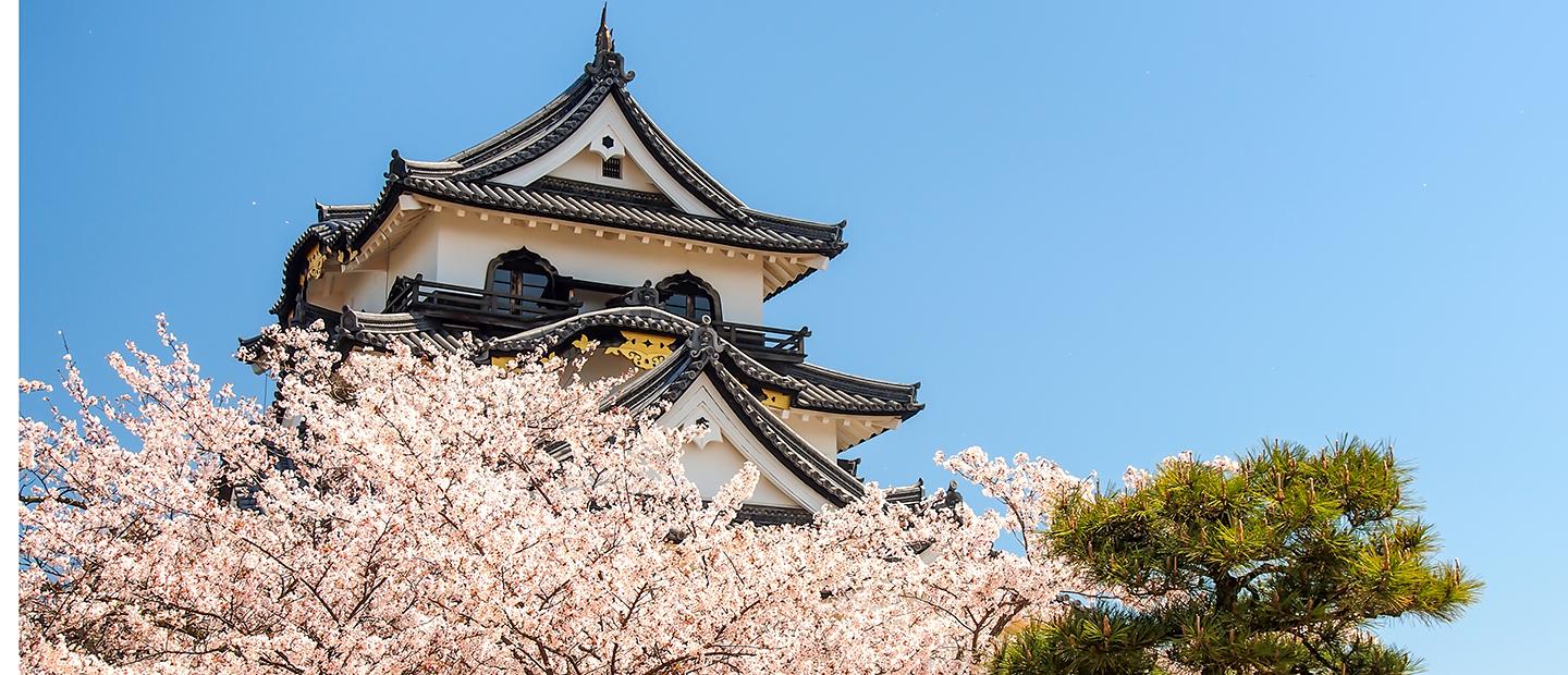 日本一座建筑物的顶部，前面有树.