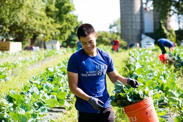 一名学生在田间采摘绿色蔬菜，这是一年一度的第一天服务的一部分
