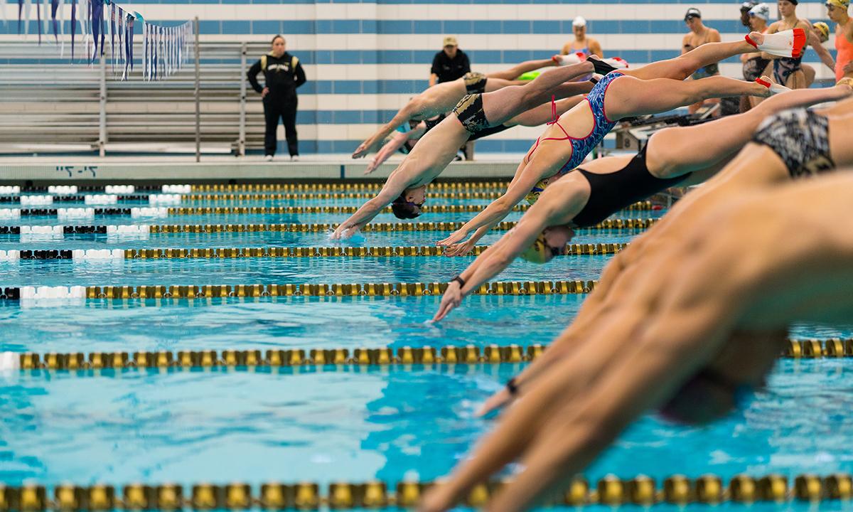 Swimmers diving into pool